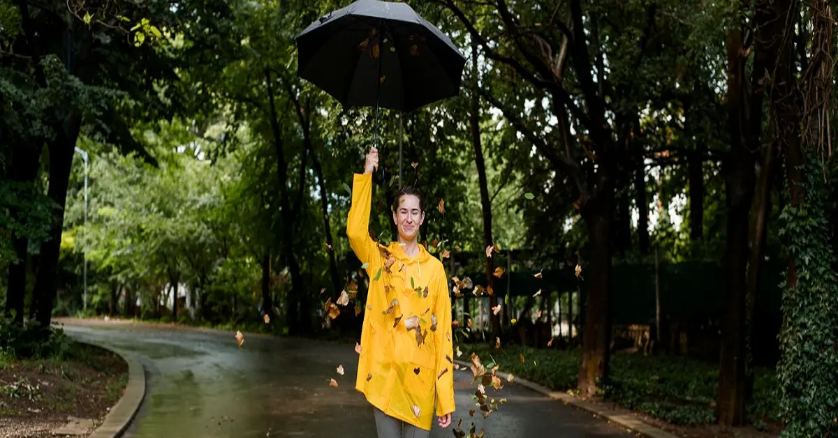 Thoi Dung Trach Nguyen Si Kha • Rainy Day Memories • 2023